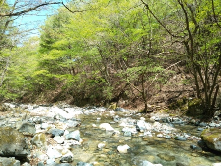 渓流の宿　別館