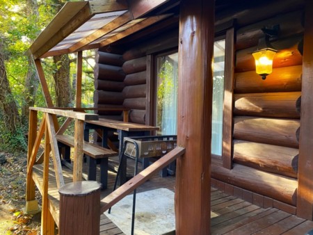 バックヤードフォックス