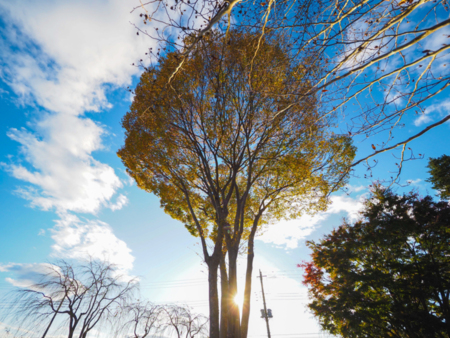 黒羽別邸（旧 那珂川別邸）