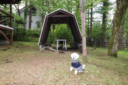 りす村別荘　with DOG