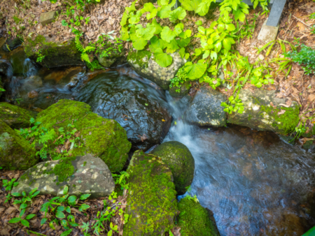 山荘せせらぎ