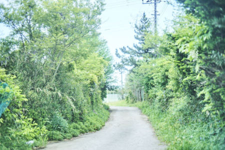 ハーミットいちのみや