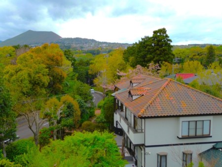 Casa luna カーサ・ルーナ