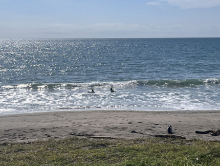 くじらのねどこ